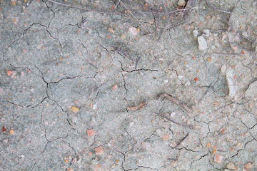 Detail of cracked clay soil
