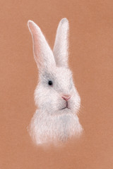 White rabbit  illustration