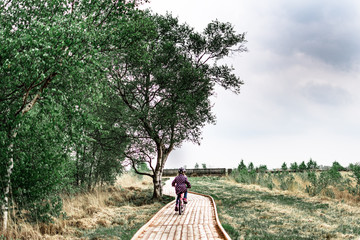 Path at National Park Lueneburger Heide