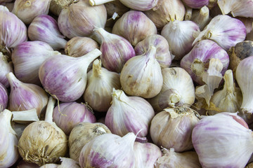 Background texture of white garlic. Fresh garlic, spices for cooking wholesome and delicious food...