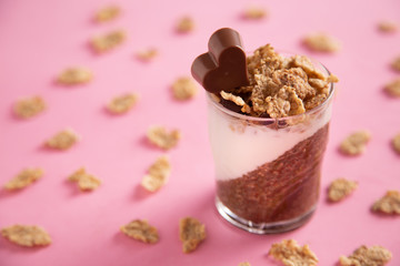 Delicious breakfast, cocoa chia pudding with yogurt and cereals