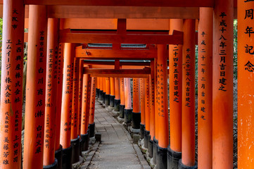 Fushimi Inari Shrine gates. Kyoto, Japan