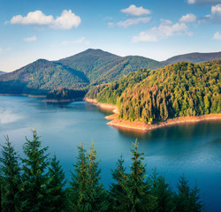 Magnificent summer scene of Dragan lake. Calm morning landscape of Calm Apuseni Natural Park. Splendid outdoor scene of Romania, Europe. Beauty of nature concept background..