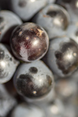 Red wine grape in dark metal tray.