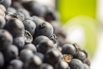 Red wine grape in dark metal tray.