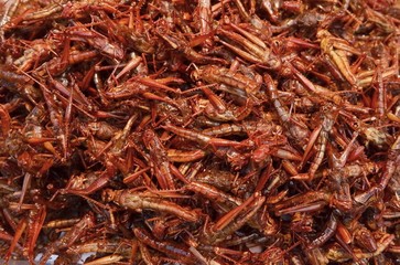 Deep fried grasshoppers at Thai street food for Edible insect . background texture