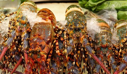 Fresh Lobster shrimp on sale on the panel in the market.