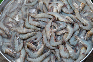 Fresh shrimp at the morning market .