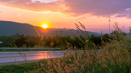 Obraz premium Picture of the main road and grass flowers at sunset.
