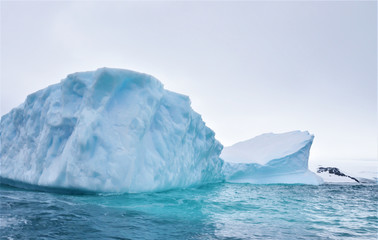 Fototapeta na wymiar View of Icebergs. Large blocks of ice floating in the Antarctic Sea at summer, next to Carlini Base, Argentina. Global warming and climate change concept.