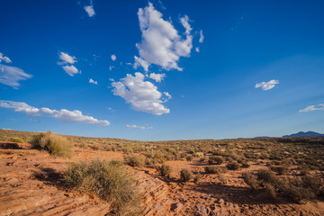 Bushes and Sand at Page,Arizona USA