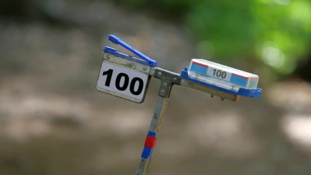 Flag Route Marker on the orienteering race track. Control point in a forest