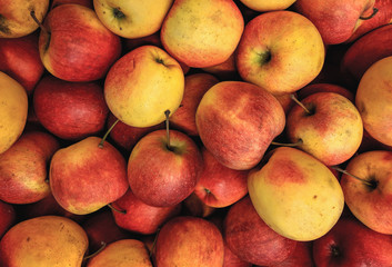  Juicy Organic Apples on a counter in a store.