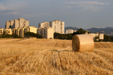  bales of hay, in the background the Tor Bella Monaca district, one of the districts with the highest concentration of crime in Rome © Stefano