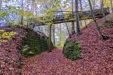Brücke im Wald im Stromberg