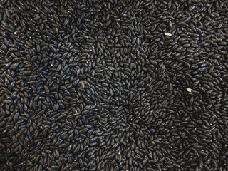  background texture of organic bean beans