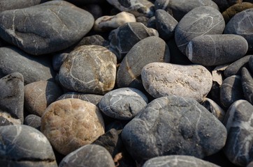 A lot of abstract smooth colored sea pebbles