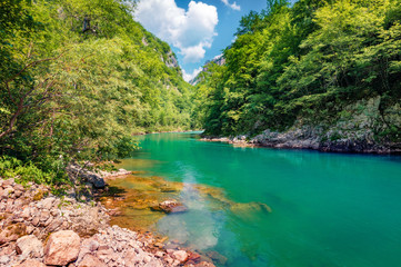 Rapid waters of the mountain Tara river. Splendid summer morning in Tara canyon, Montenegro, Europe. Beautiful world of Mediterranean countries. Beauty of nature concept background..