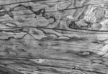 atmospheric background texture of an old wooden board