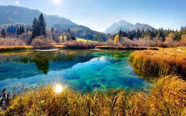 Malerische Herbstszene der Julischen Alpen mit Kranjska Gora-Gipfel im Hintergrund. Wunderbarer Morgenblick auf das Naturschutzgebiet Zelenci, Slowenien, Europa. Schönheit des Naturkonzepthintergrundes. © Andrew Mayovskyy