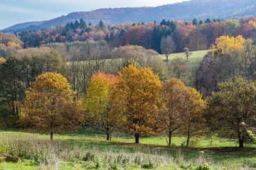 Aussichten beim Wandern im Stromberg