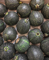 Fresh organic zucchini on a market shelf