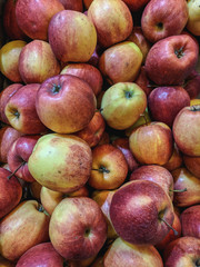  Juicy Organic Apples on a counter in a store.
