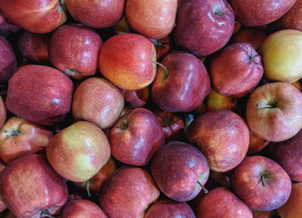  Juicy Organic Apples on a counter in a store.