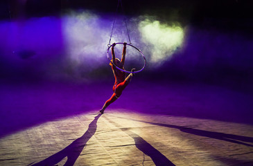 air circus performances in the circus