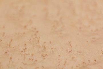 バーズアイメープル