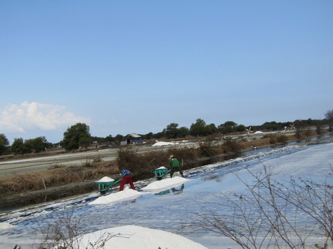 A view of a natural salt evaporation pond or tambak garam in village of Sidoarjo region. Traditional home industry with artificial shallow ponds designed to produce from sea water or water brines.