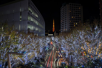 Tokyo Winter illumination, Roppongi Hills Christmas, one of the most winter event in Tokyo