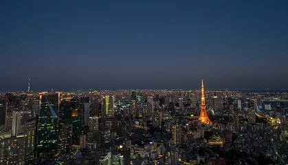 Fotobehang Tokyo aerial view cityscape with Tokyo Tower, Japan Tokyo tower and city skyline in sunset background view. Tokyo city skyline at twilight © Supavadee