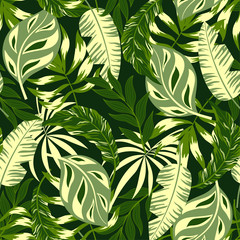 Trend seamless pattern, tropical background. Summer background with exotic leaves. Illustration in Hawaiian style. Vector hand draw background.