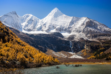 Fototapeta premium Small lake from melting of Snow Mountains and yellow pine forest with snow-capped mountain in the background at Yading Nature Reserve, Sichuan, China