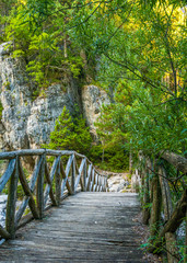 Wooden bridge and stones on the background of green trees