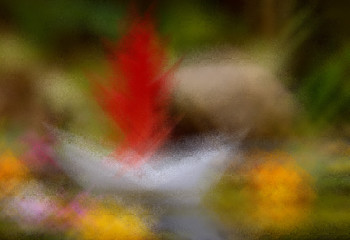 A paper boat on the water with an oak leaf . The illustration is based on my own photo.