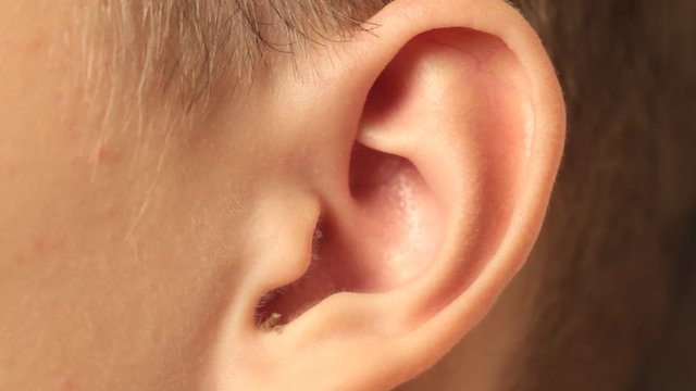 Close up human ear macro video
