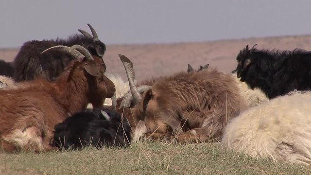 Mongolia, foothill northwestern regions. Landscapes.