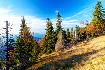 Beautiful mountain landscape, autumn meadows and trees.