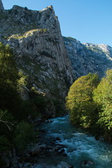 Valley of Rio Cares near Poncebos in Picos de Europa in Asturia,Spain,Europe