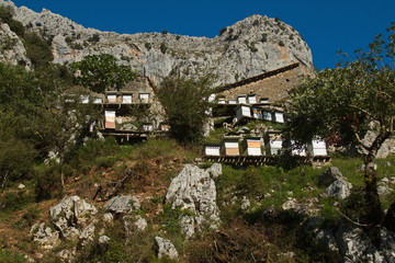 Beehives in Picos de Europa at the trail from Poncebos to Camarmena in Asturia,Spain,Europe