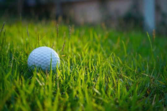 Golf ball on green grass in beautiful golf course