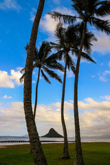 View of island between palm trees