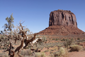 View of Monument Valley Utah and Arizona USA