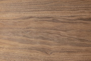 Obraz premium Orzech włoski