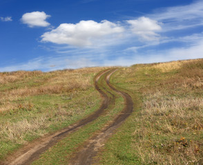 rut road on meadow