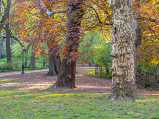 Autumn in Central Park