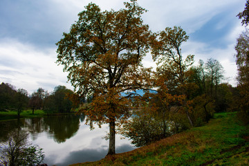 Fototapeta na wymiar Autumn lake scenery in Austria