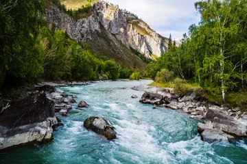 Papier Peint photo Lavable Rivière forestière Rapide de la rivière Behemoth sur la rivière Chuya, montagne de l& 39 Altaï, Russie